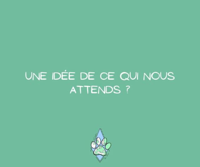 Alors, vous avez une idée de l'aventure qui nous attends dans quelque temps ?

(Petit indice, ce sera sans Lucien)

#12pattessurterre #nouvelleaventure #quelleaventure