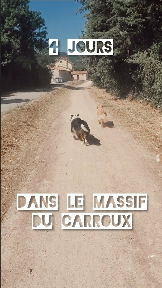 4 jours dans ne massif du Carroux, et 2 randonnées. Un bon week-end !

#12pattessurterre #randonnées #massifducarroux #week-end